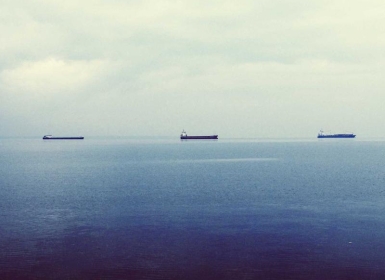 Steam PCVR游戏《狂乱灭绝》Frenzy Extinction