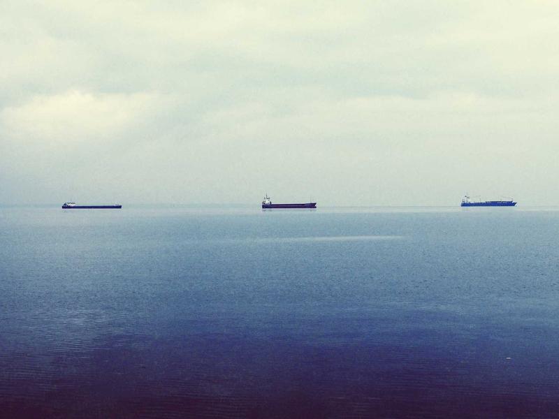 Steam PCVR游戏《狂乱灭绝》Frenzy Extinction - VR游戏图片