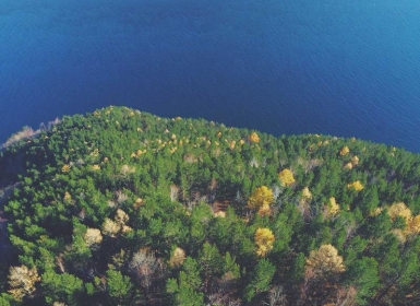 steamPC VR游戏：《多合一体育运动 VR》All-In-One Sports VR