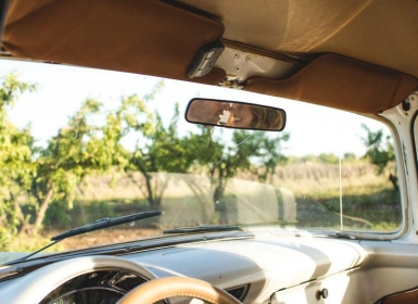 Stema PCVR游戏《饥饿动物VR》_Hungry Animals VR