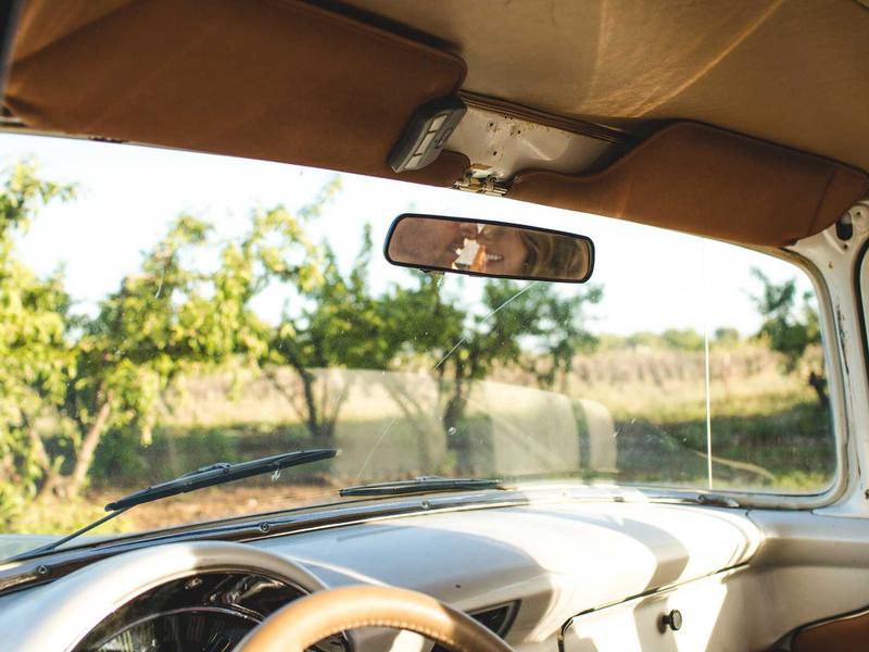 Stema PCVR游戏《饥饿动物VR》_Hungry Animals VR - VR游戏图片