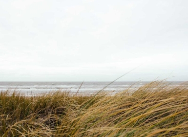 Steam PCVR游戏《工作模拟器VR》_Job Simulator VR