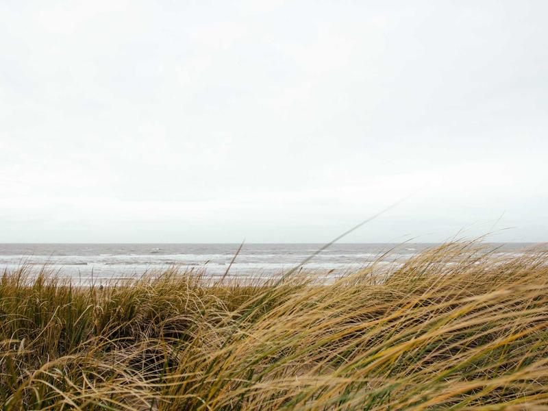 Steam PCVR游戏《工作模拟器VR》_Job Simulator VR - VR游戏图片