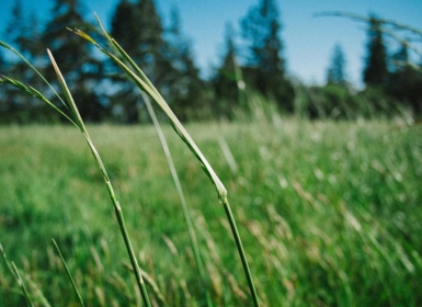 Steam PCVR游戏《谷仓搜寻者VR》 Barn Finders VR