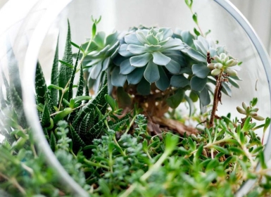 Steam PCVR游戏《VR乒乓球专业版》 VR Ping Pong Pro