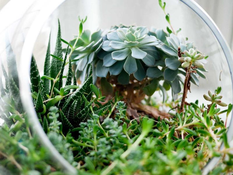 Steam PCVR游戏《VR乒乓球专业版》 VR Ping Pong Pro - VR游戏图片