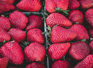 steamPC VR游戏：《多合一体育运动 VR》All-In-One Sports VR