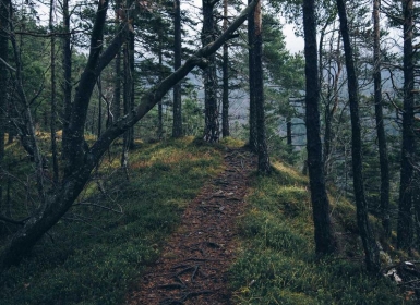 Stema PCVR游戏《饥饿动物VR》_Hungry Animals VR