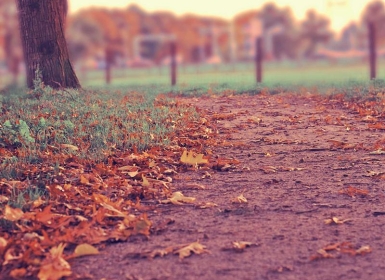 Steam PCVR游戏《空中曲棍球VR》Air Hockey VR