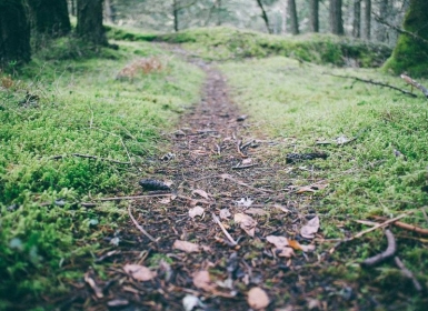 Steam PCVR游戏《钓鱼冒险VR》FIshing Adventure VR