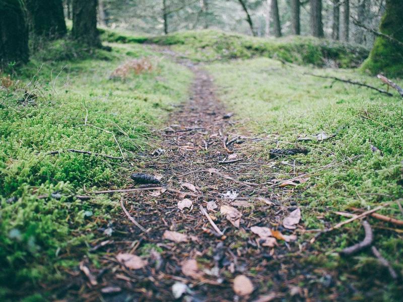 Steam PCVR游戏《钓鱼冒险VR》FIshing Adventure VR - VR游戏图片