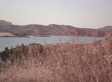 Steam PCVR游戏《自由奔跑VR》_VR Run