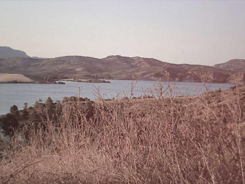 Steam PCVR游戏《自由奔跑VR》_VR Run - VR游戏图片