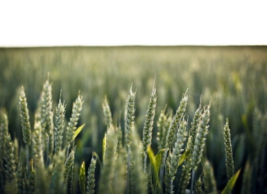 steamPC VR游戏：《城堡之王 VR》King of my Castle VR