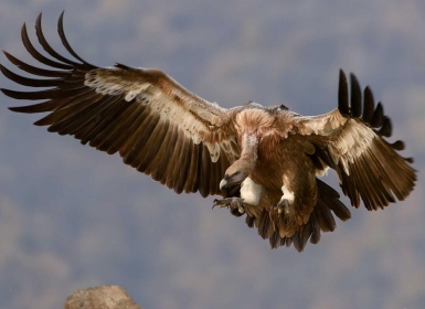 Steam PCVR游戏《撬棍攀爬VR》Crowbar Climber VR