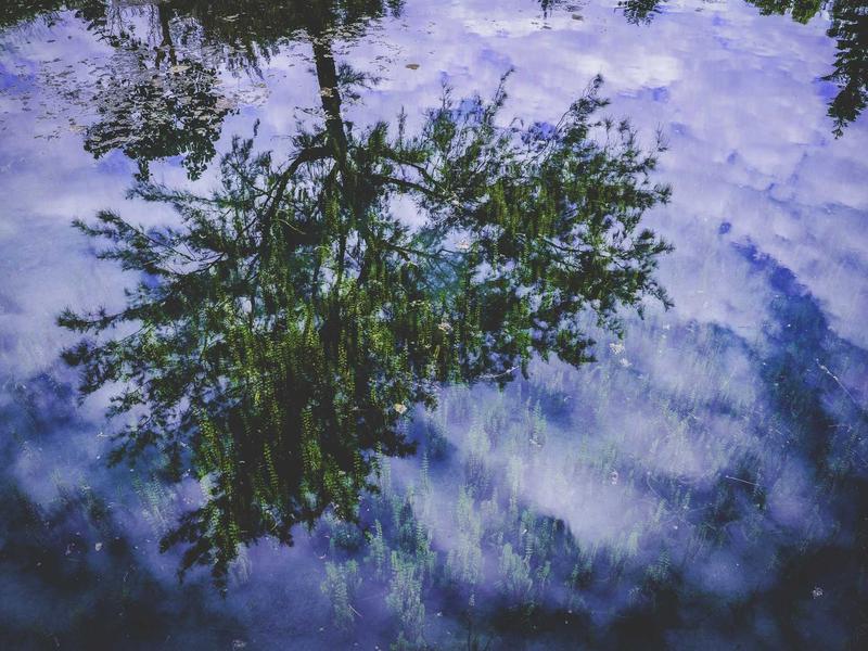 Steam PCVR游戏《破碎元素VR》 Crunch Elementv VR - VR游戏图片