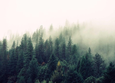 Steam PCVR游戏《战锤4k：战斗修女VR》Warhammer 40,000: Battle Sister