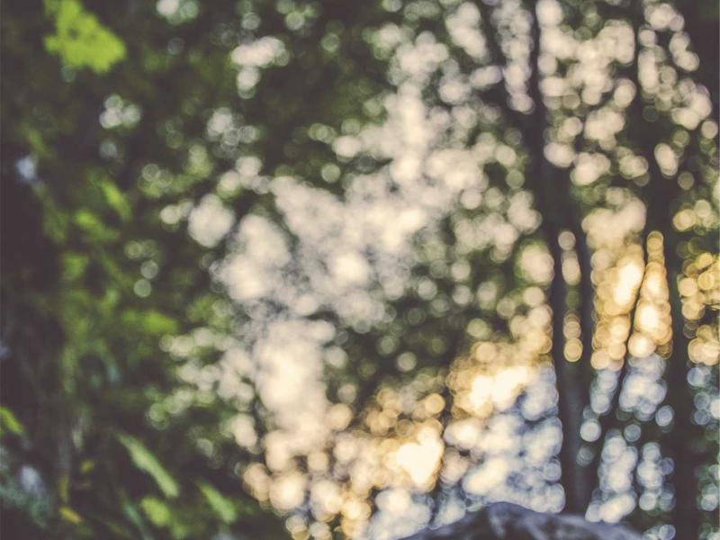 Steam PCVR游戏《破碎元素VR》 Crunch Elementv VR - VR游戏图片