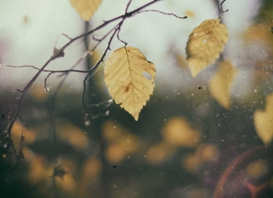 死侍VR 汉化中文版（Marvel’s Deadpool VR）- Meta Quest游戏