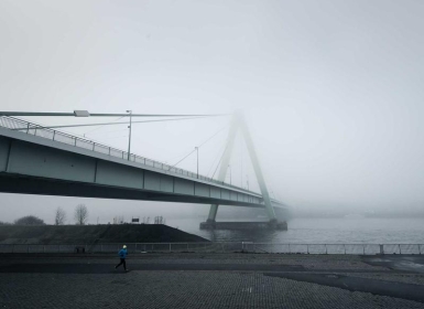 Oculus Quest 游戏《荒野生存VR》Strayed VR