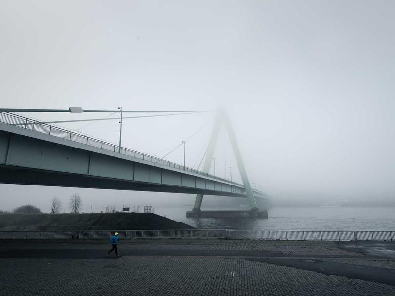 Oculus Quest 游戏《荒野生存VR》Strayed VR - VR游戏图片