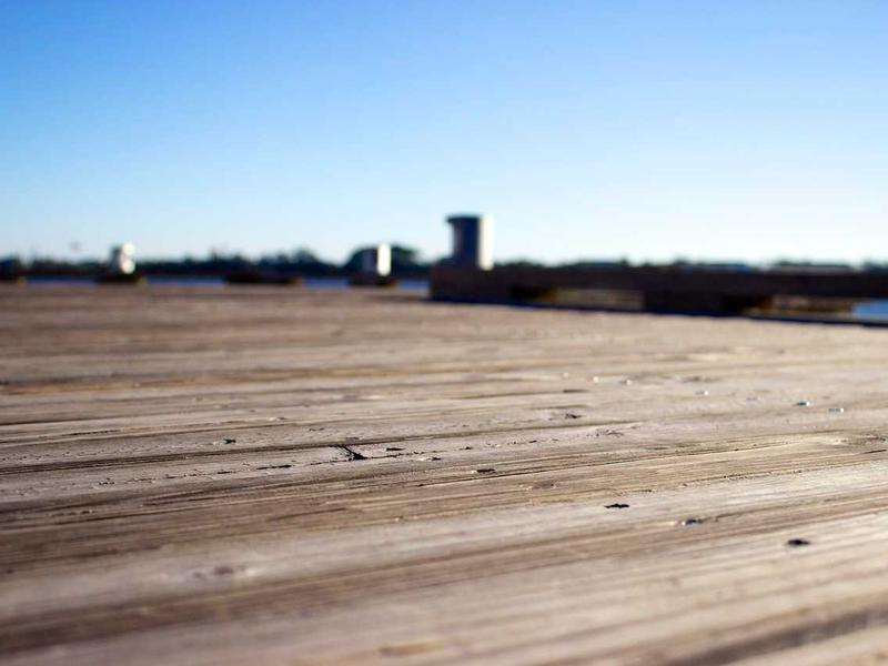 侏罗纪VR手游 - VR游戏图片