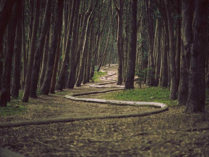 末世尸潮：小屋（Drop Dead: The Cabin） - VR游戏图片