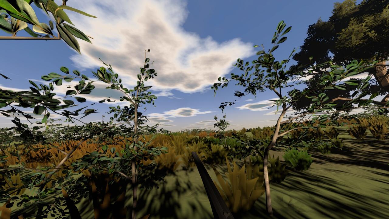狩猎生活 VR：鸽子季节（Hunting Life VR: Dove Season）